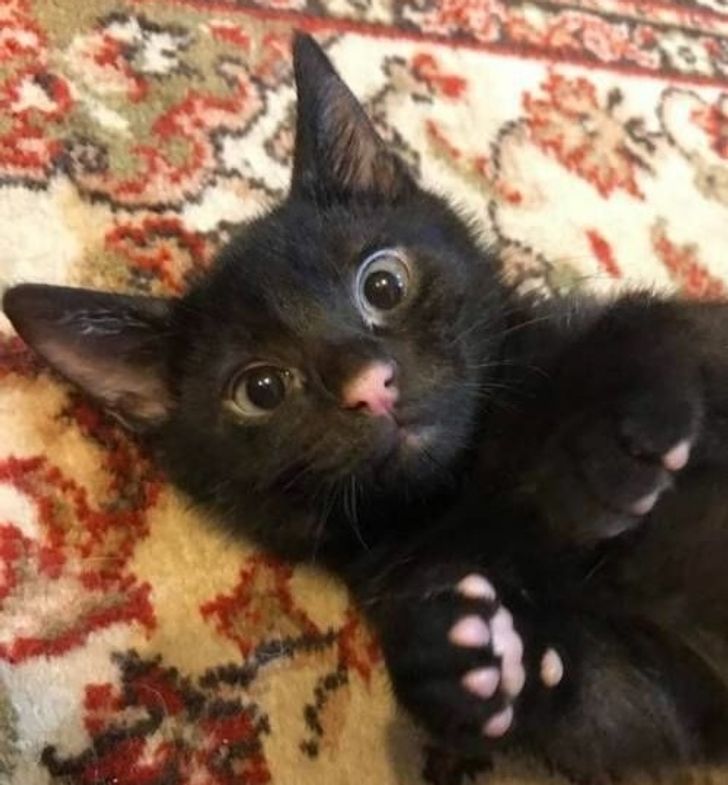 1cbab95f72afe38080d82800cf