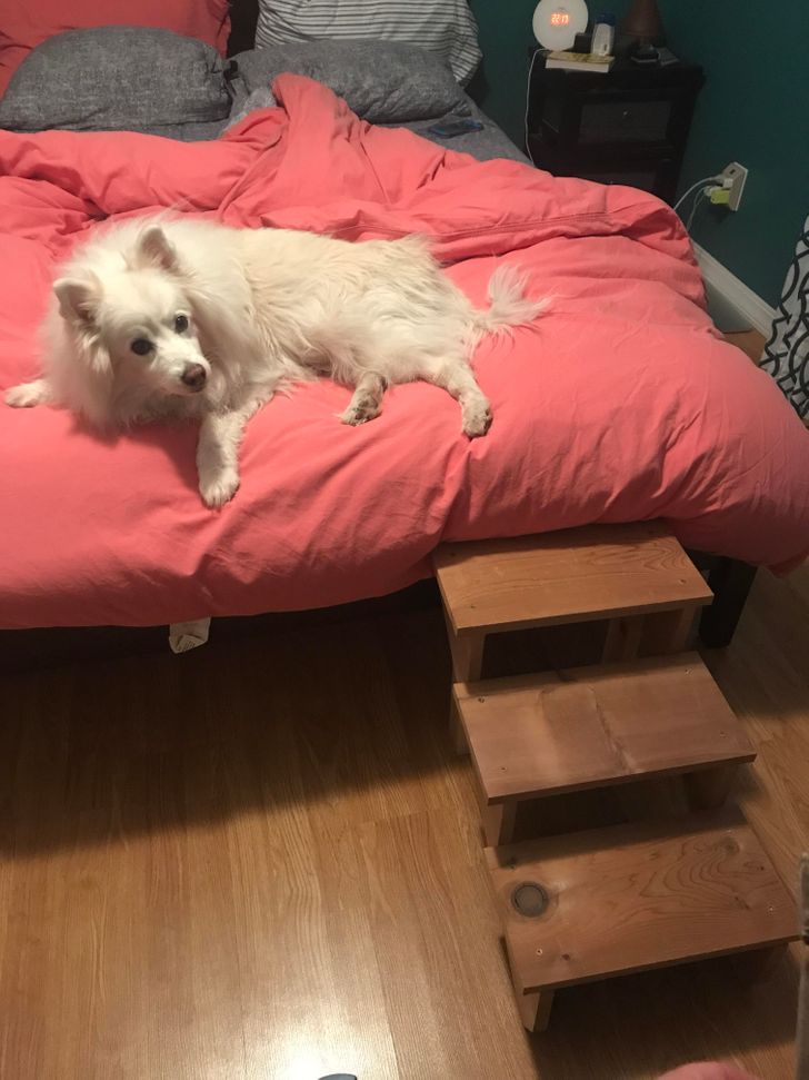 1cbc4a594992978e998759a448