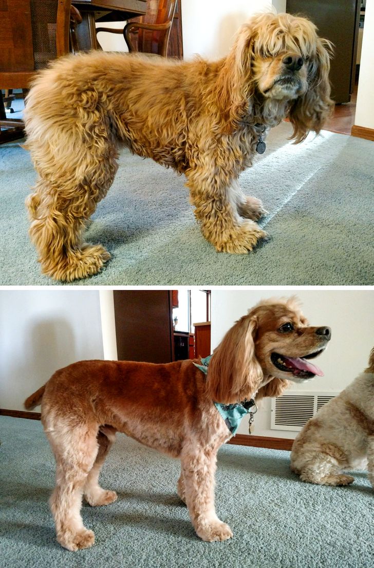 1cbe435398953fa1e817ab22e9