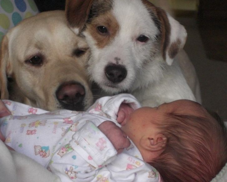 1cc20e5ab9aa957f8c4b5bd2dd