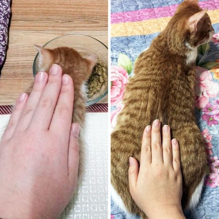 1cc2fa560aab7f427238d3301f