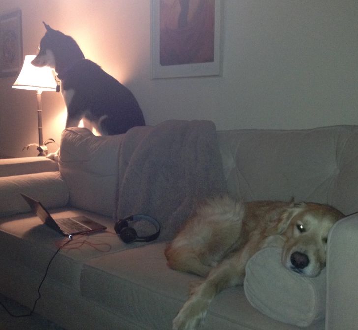 1ccba25de79f6ee849fa555863