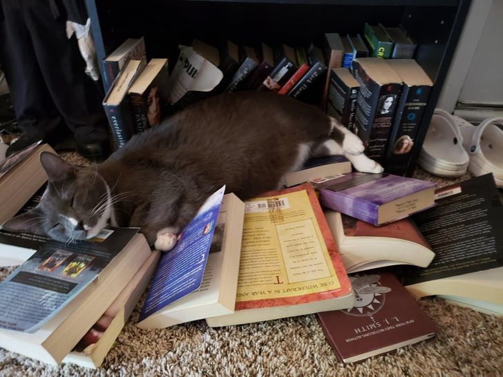 1cd37c501cb6baece2b743fafe