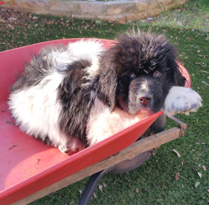 1cdba251c5997a54268aa95e70