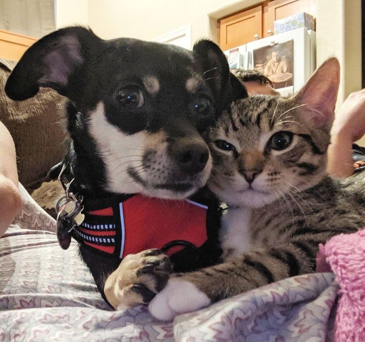 1ce381501bb4bd408186130b51