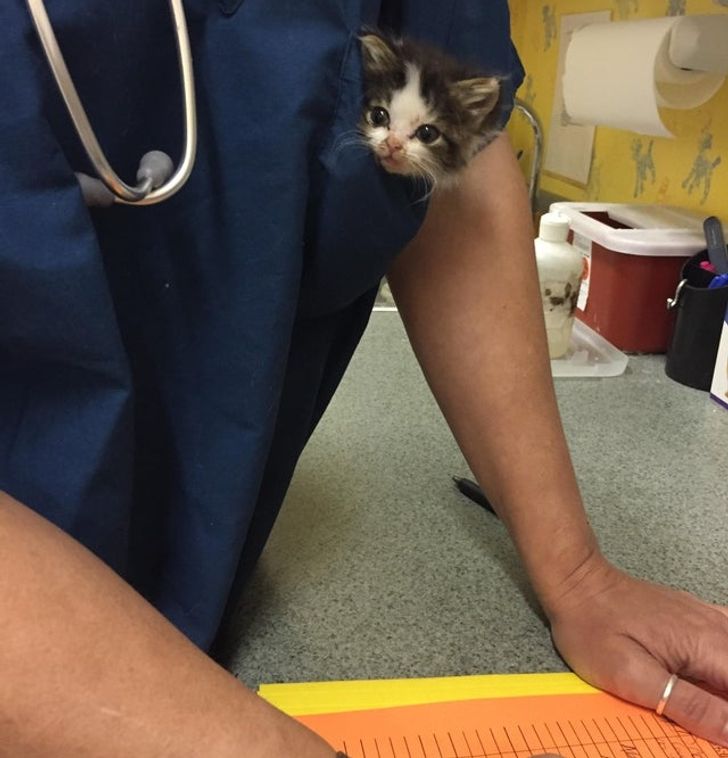 1ce99558d589719d13e794c51d