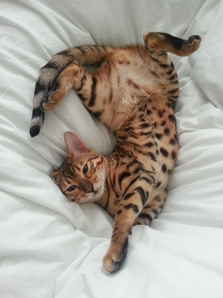 1cea0759bd8caa8f1132fb2f18