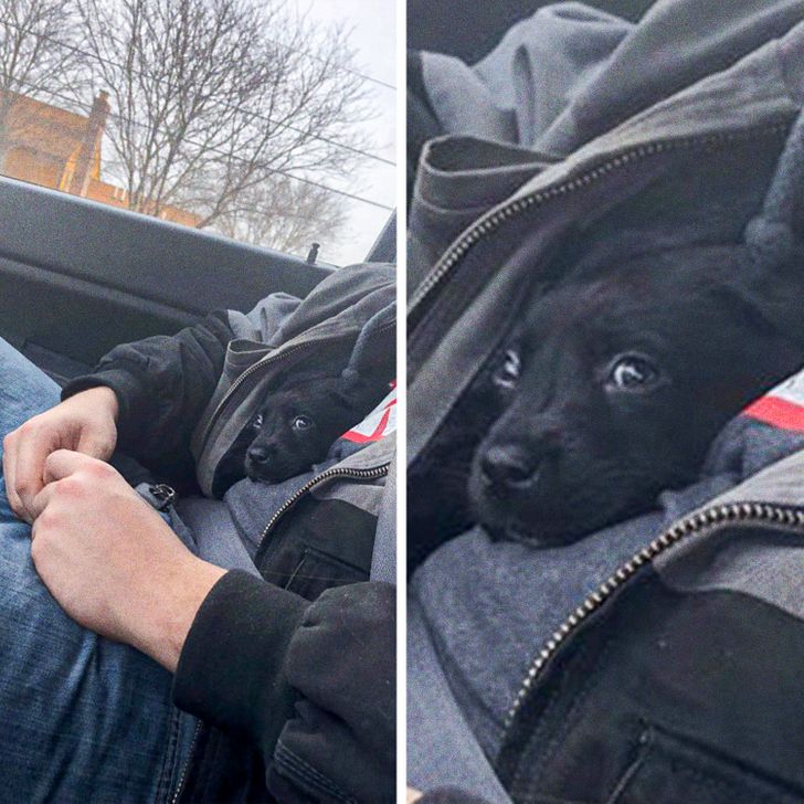 1ced5d5c8ba5455401fbb505bf