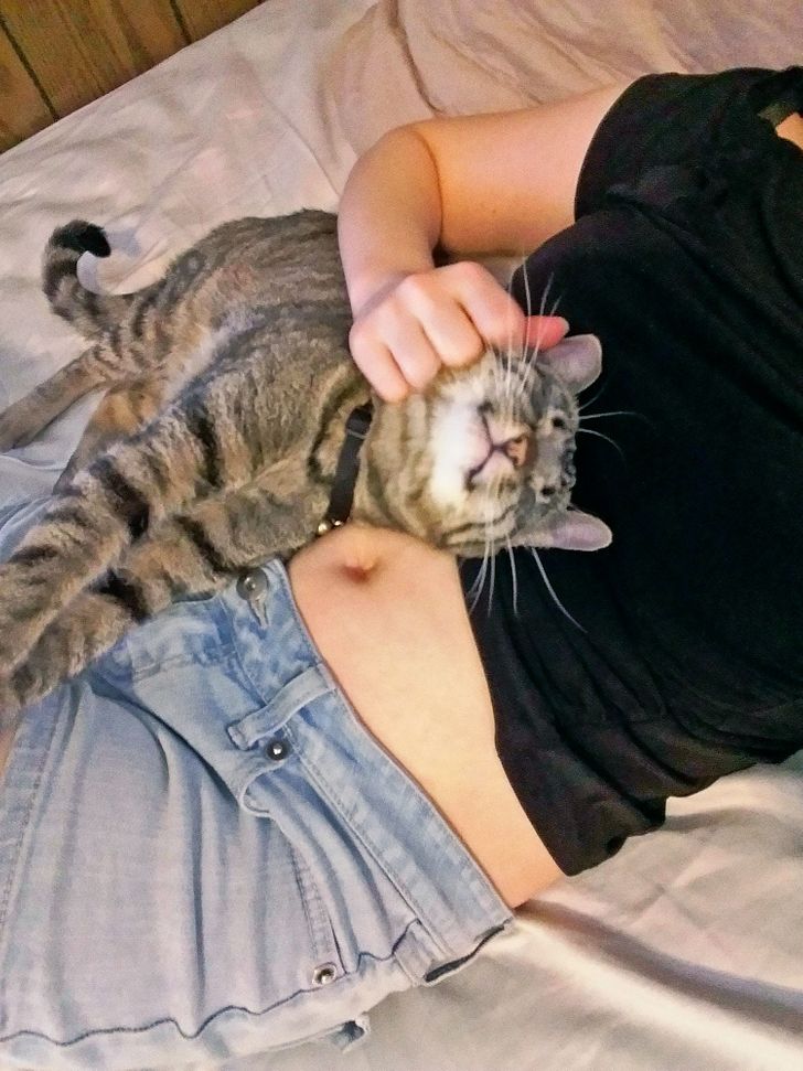 1cefa85f7d9454817ed6da4b33