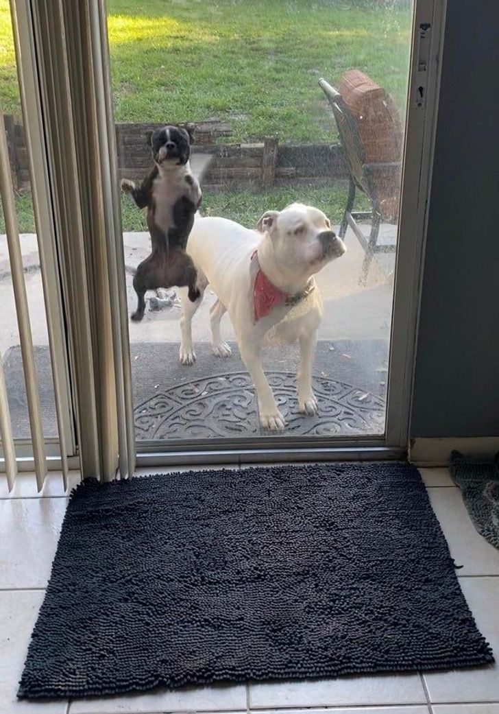 1cf0a45d57a8da1df63510b287