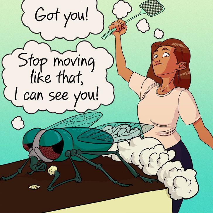 1cfa6f54a2a70d5ff7290181c7