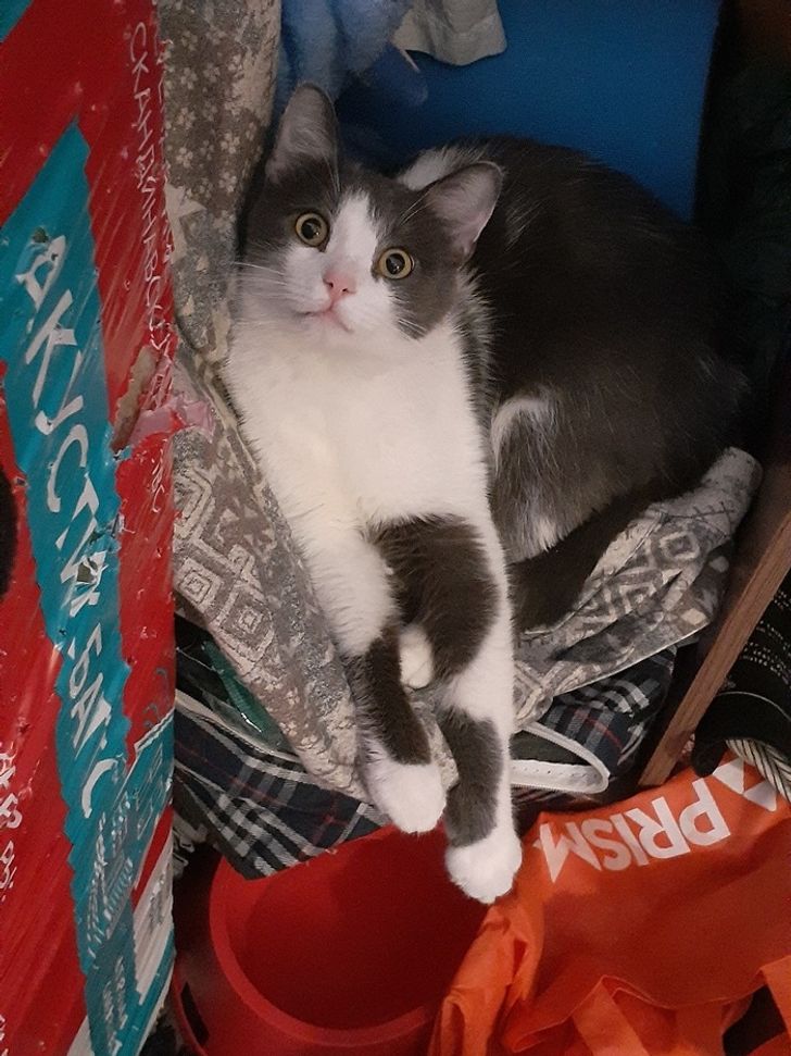 1d017b5941aa71aac210c5fc63