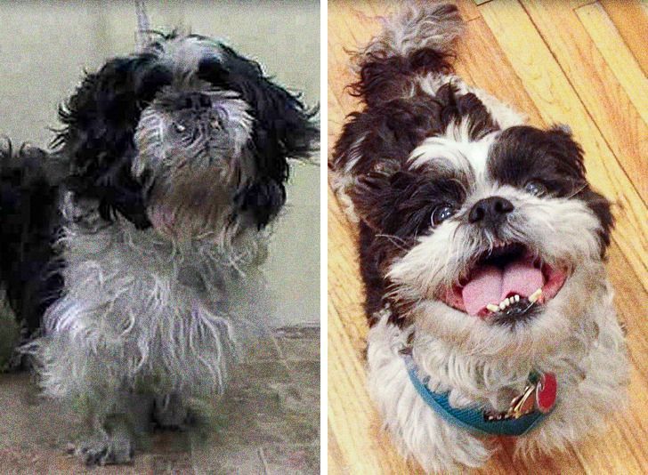 1d03595d3480c223938ccdbed8