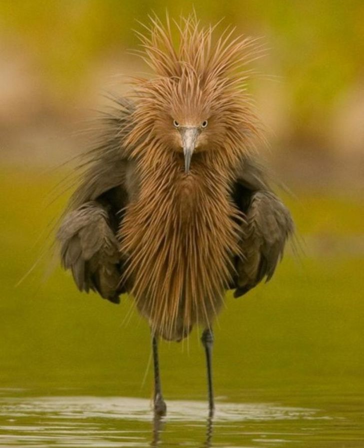 1d08915ceea2d7c0853cc81436