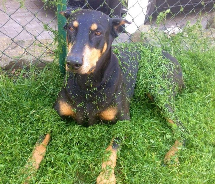 1d0941527ca3203ea43159d758 1d0941527ca3203ea43159d758