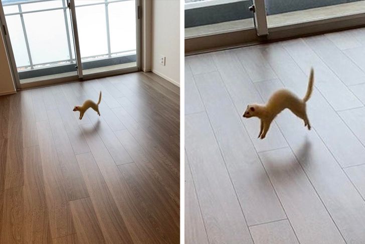 1d097555ef81a0e4bfaacd699d