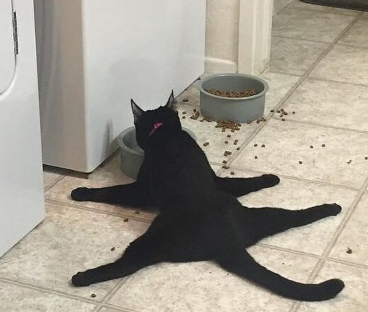 1d0fe15b95a2f0369bb4483706