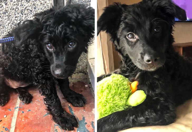 1d12da500081ace4abe9005f8a