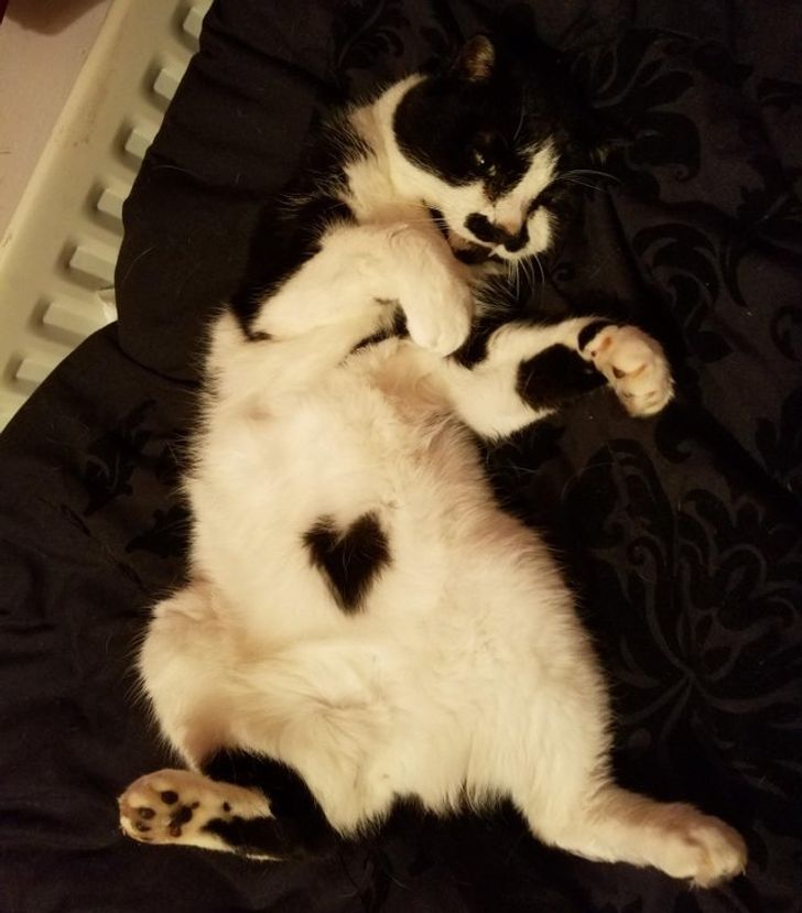 1d16c7533c90fff4cf60460f71