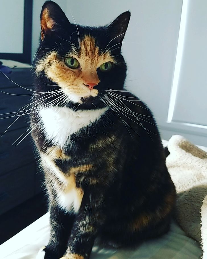 1d1a3c5e9f826f0fc977471192