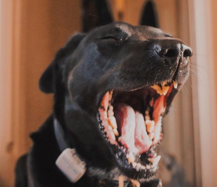 1d267051cf92dbaaa901b53dc9