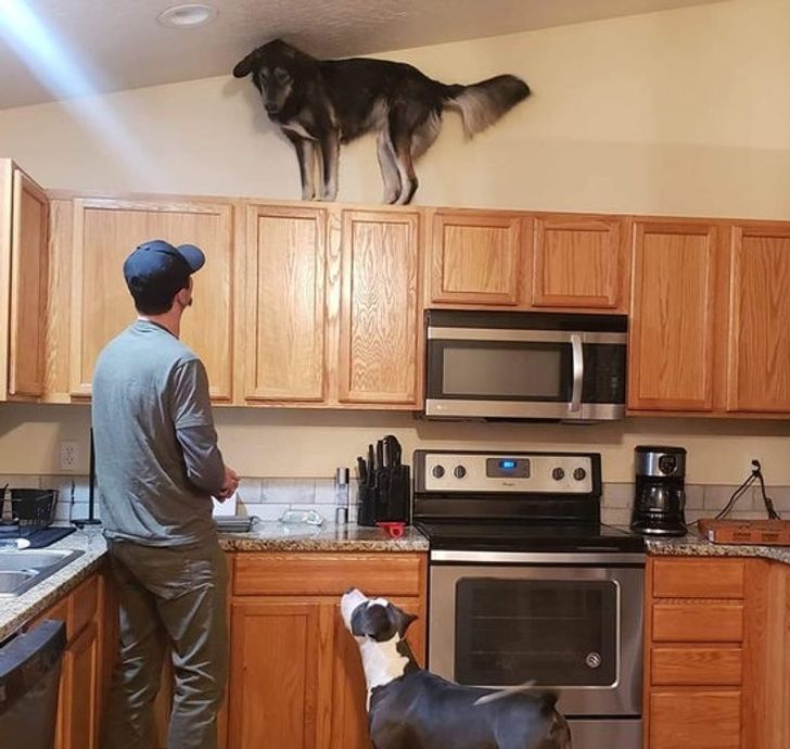 1d27b6512889f66528fc7af205