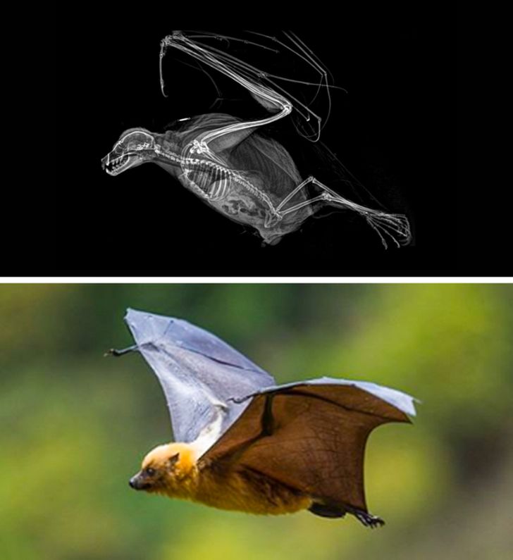 1d2b1c59349dd0912a272d44c1