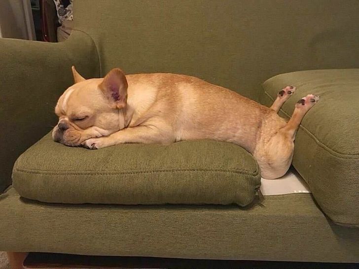 1d373e59dfbc049b33ae91edea