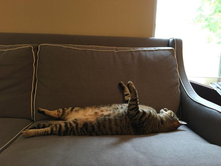 1d38285d0795223b5df938a7b9