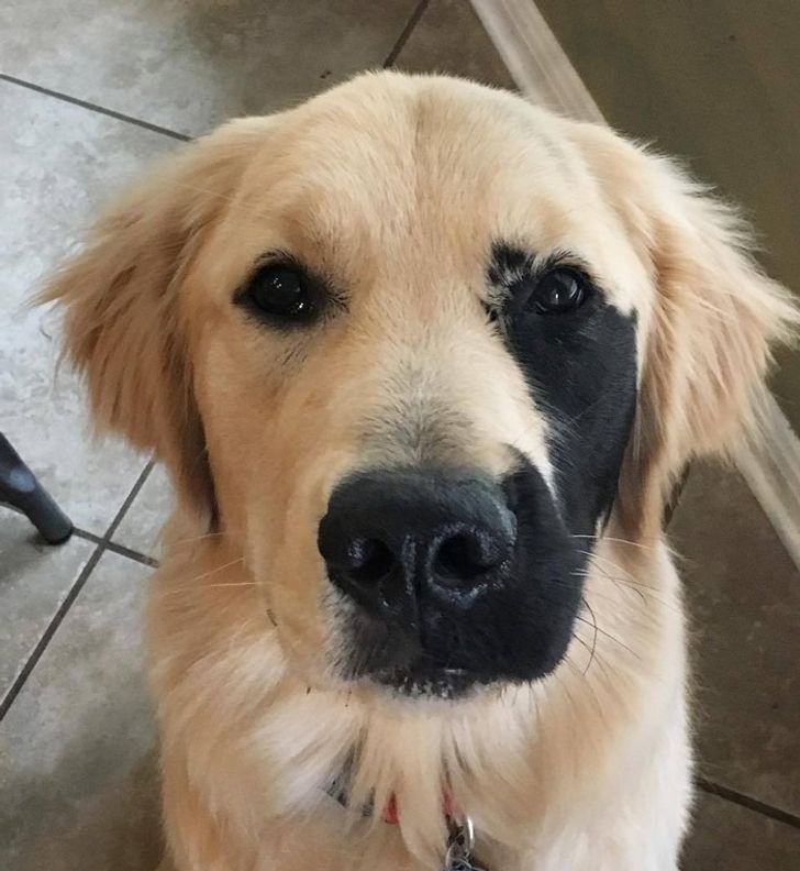 1d3adb57bbbd9c1268d2c15458