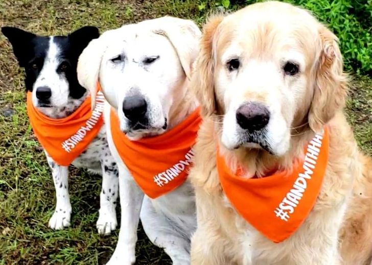 1d431755698b838f3ab4a7cb38