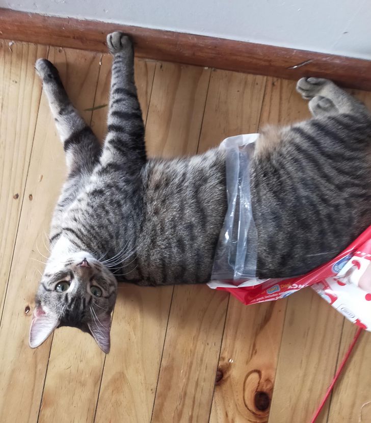 1d47fd5be780892954556fa76a