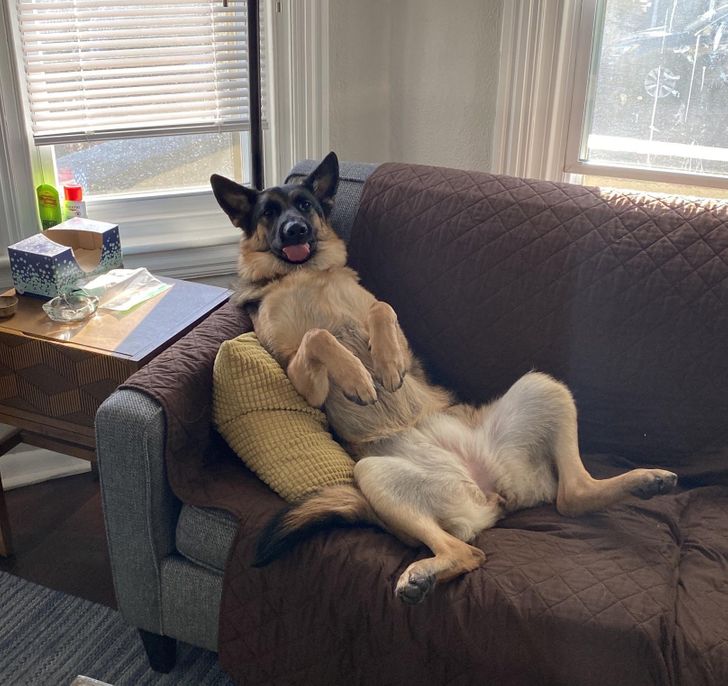 1d4b33534aa0b7642467906cd8