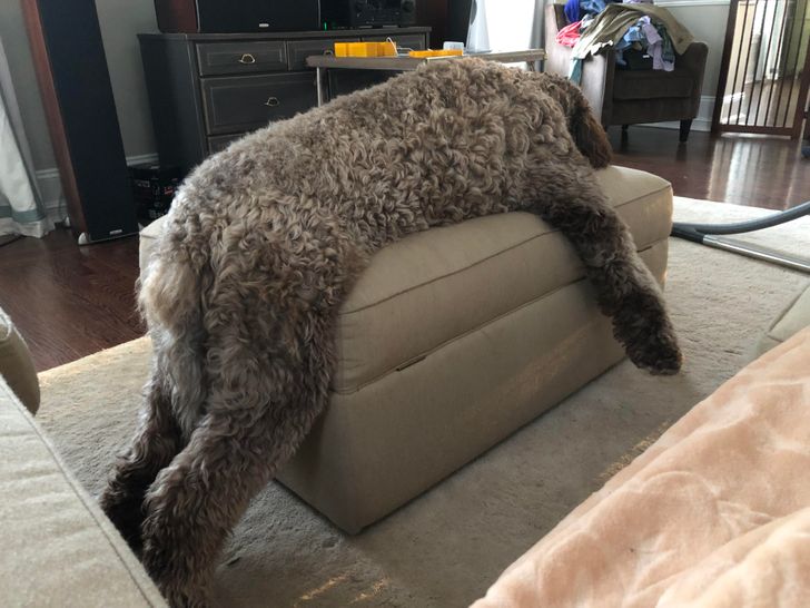 1d50d350f99740968334af23d3