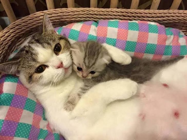 1d5b5857d5b6bc31936933c47d