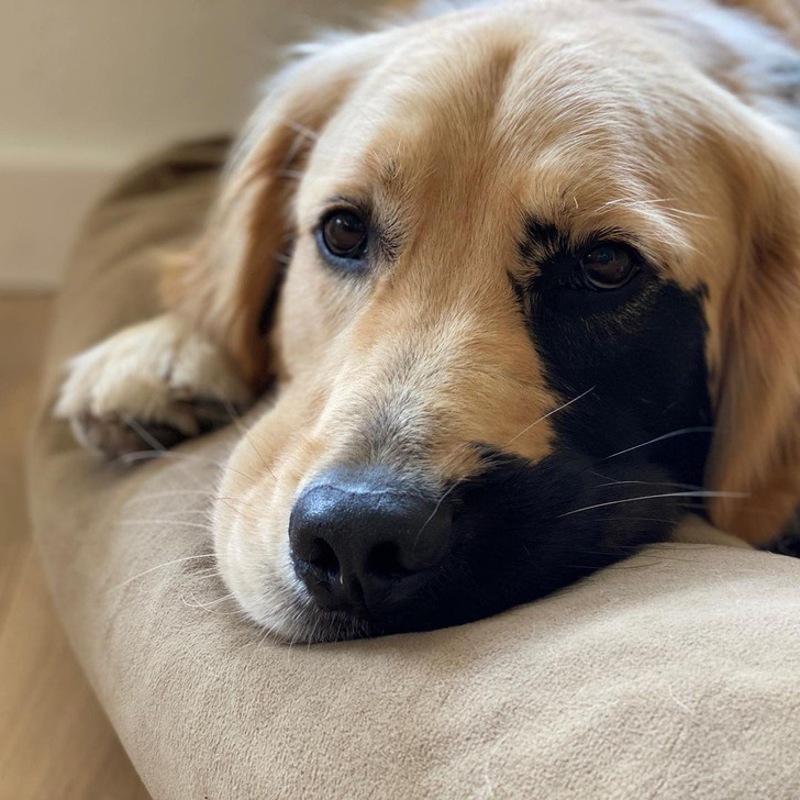 1d5fc85c028d90ab93820acb3b 1d5fc85c028d90ab93820acb3b