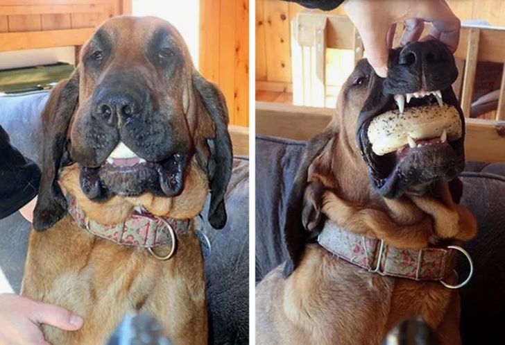 1d5ff859128eae77c5a05bccd3