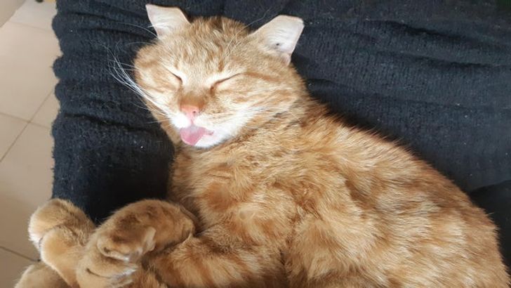 1d60e65e8fbcf0700a8d69f4ce