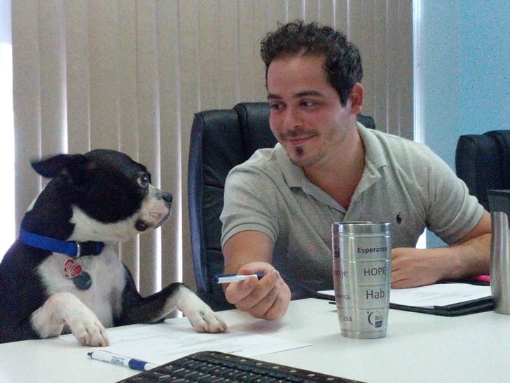 1d66585e10b30ce29f8074d99b