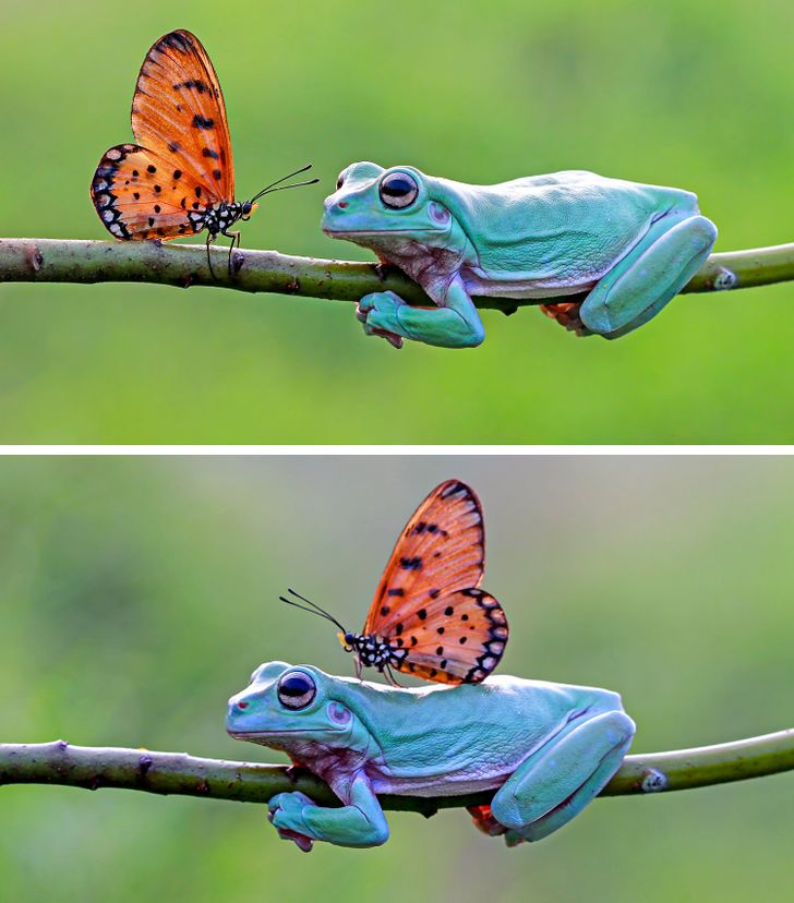 1d69be53558030dcbb73431064