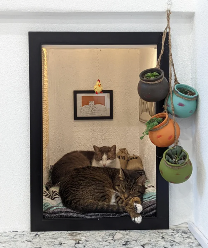 1d6f205f4186644a4497f4052c-1 1d6f205f4186644a4497f4052c-1