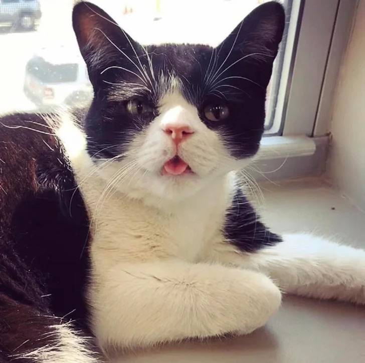 1d75375fffb20d3801142ba297