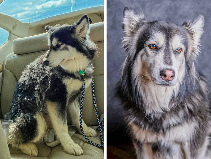 1d7be152b1b046094701c2900a 1d7be152b1b046094701c2900a