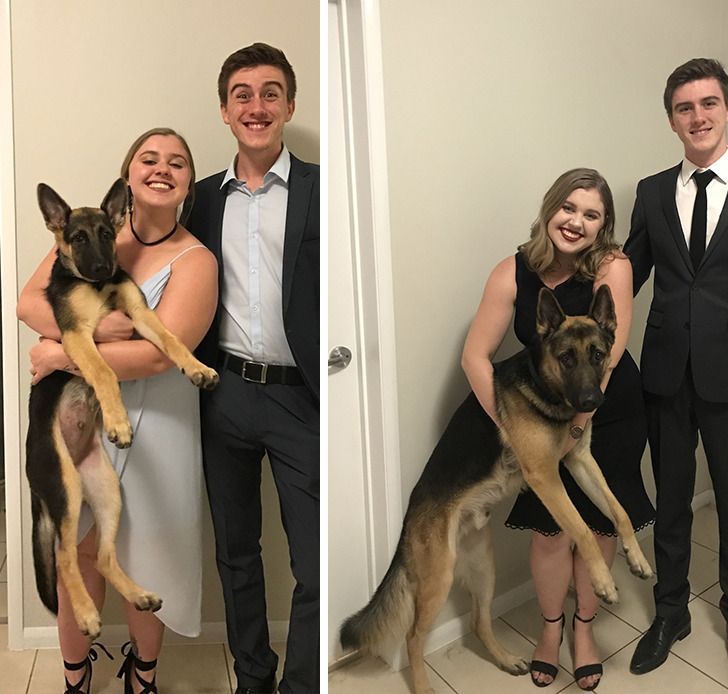 1d8a865cb893c306e030b51f06