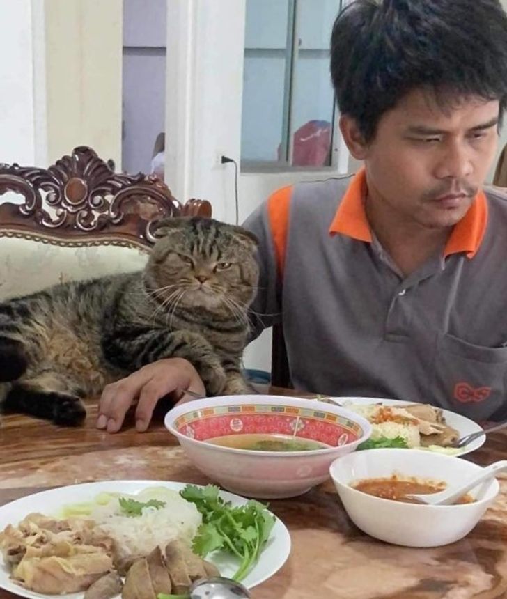 1d97c6529ebac79f6a28bd3823