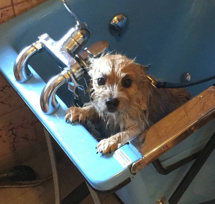 1d9c49583688cd1ed7ac136536