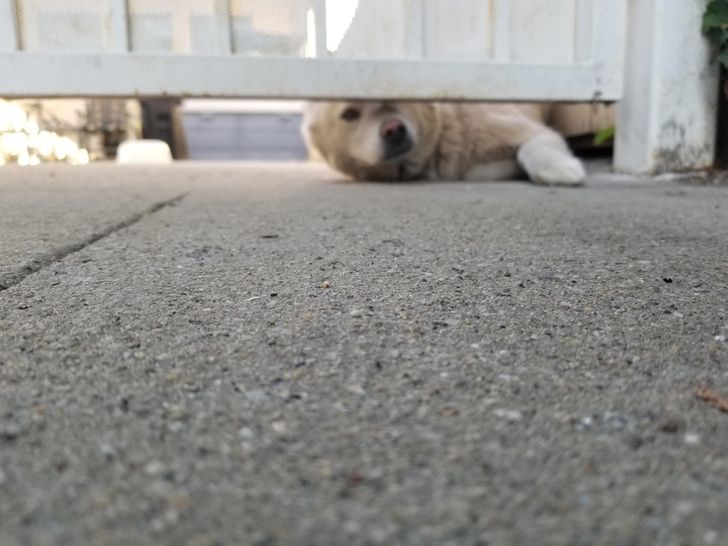 1db9365edca9ba0de490bc4188