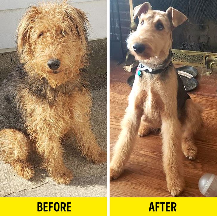 1dba4a512e9d40e06a69ae3910