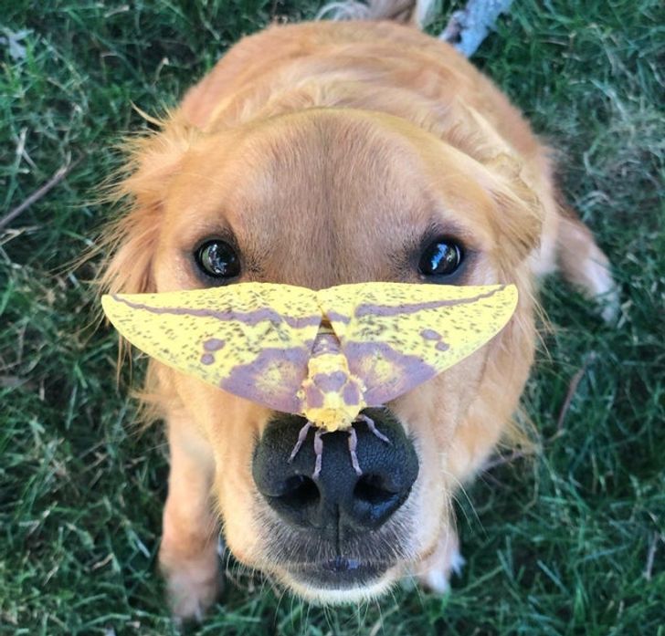 1dba5053db9985f02109a4077d