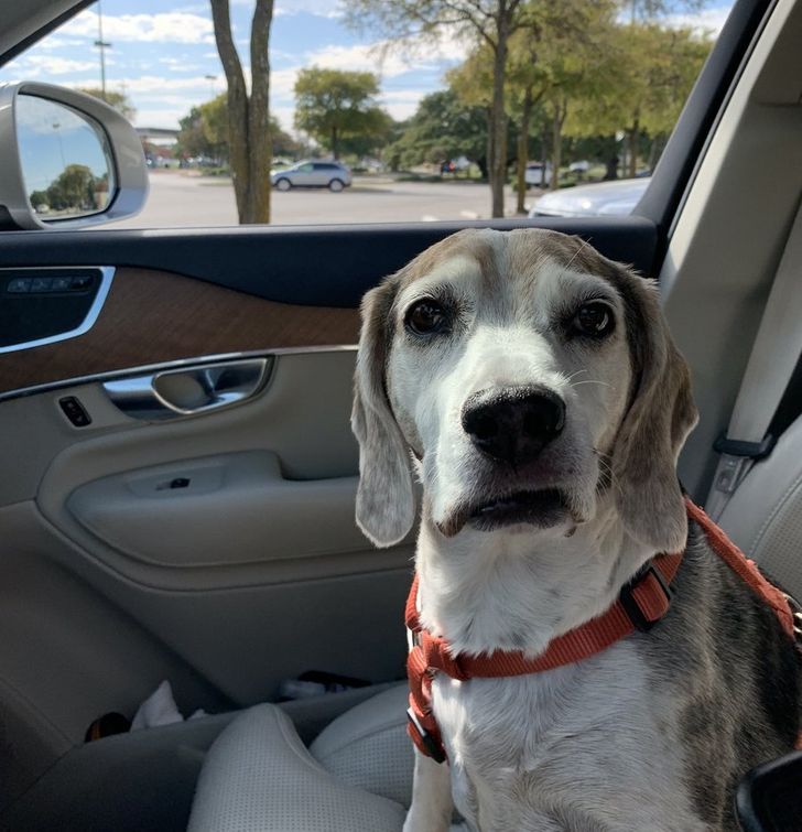 1dc646538cb214ee427dc3d7a0